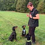 Dobermann vom Schwansee - Der C-Wurf beim Hundetraining mit Denise Augner