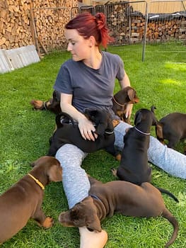 Dobermann vom Schwansee - Unsere Welpen aus dem A-Wurf