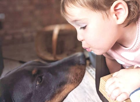 Dobermann vom Schwansee - Ein Herz in deiner Familie