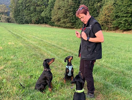 Dobermann vom Schwansee - Der C-Wurf beim Hundetraining mit Denise Augner